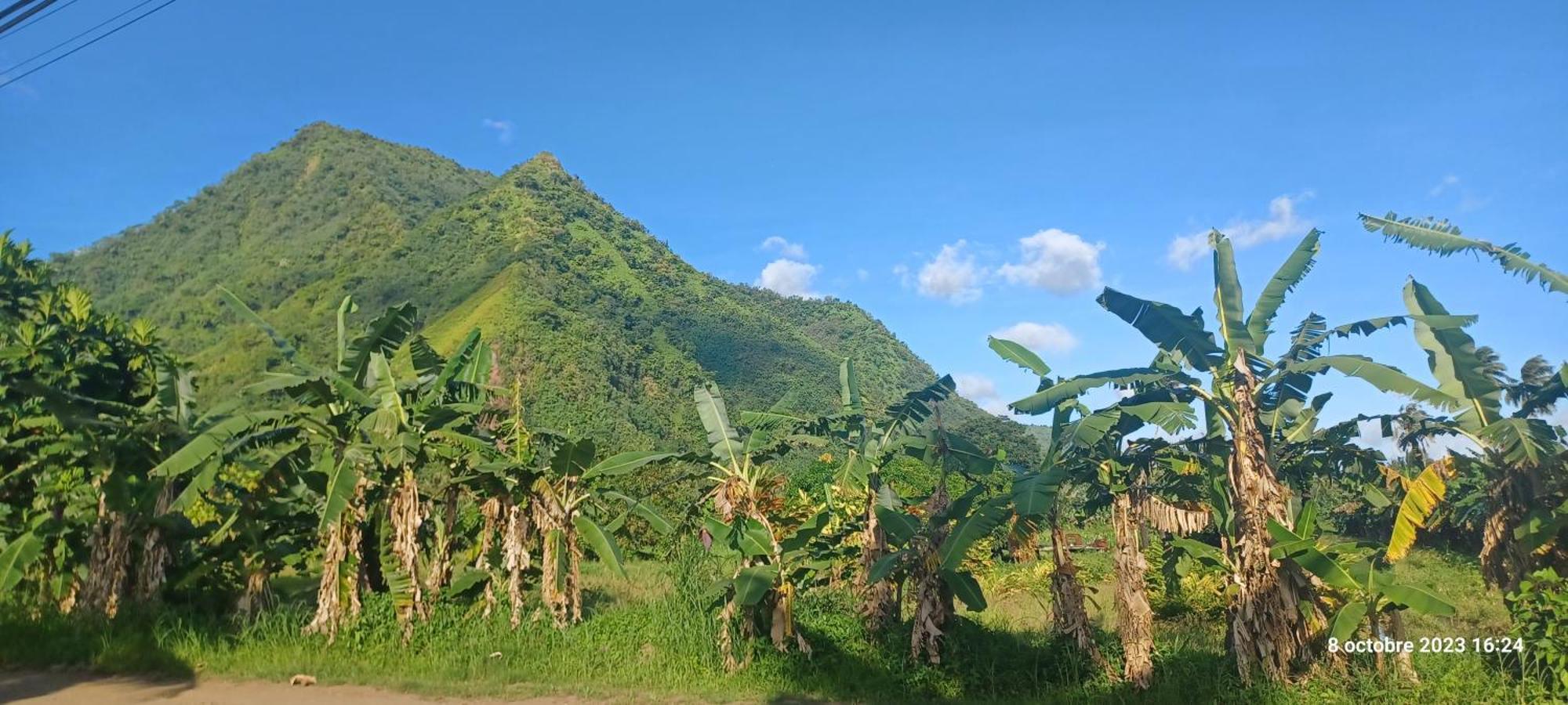 Hava'E Lodge Teahupoo Exteriér fotografie